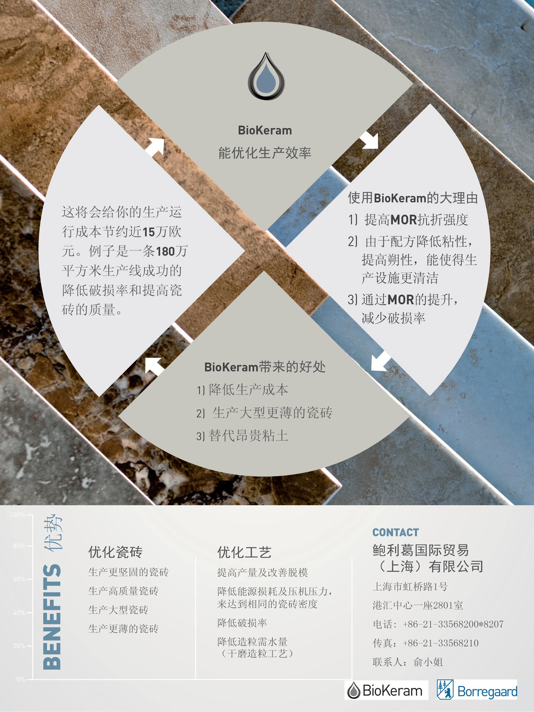 鮑利葛.jpg
